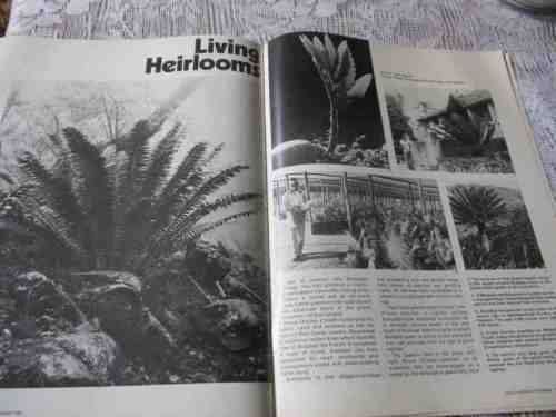 SA PANORAMA MAGAZINE SEP 1980 ( CYCADS, WESTLAKE, KRISHNA MAHARAJ, GREAT TREK, DE WILDT, SNAKES )