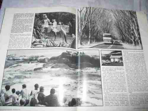 PANORAMA MAGAZINE NOV 1980 ( UNIVERSITY OF PRETORIA, ROSENKOWITZ SEXTUPLETS, EDOARDO VILLA ART )