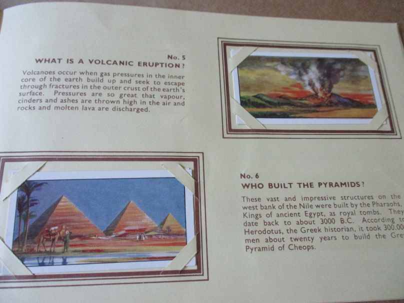 VINTAGE  TYPHOO TEA ` DO YOU KNOW ` TRADING CARDS & ALBUM - COMPLETE