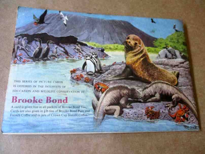 WILDLIFE IN DANGER BY PETER SCOTT - BROOKE BOND PICTURE CARDS ( BROOKE BOND TEA TRADING CARDS )