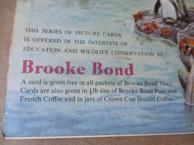 WILDLIFE IN DANGER BY PETER SCOTT - BROOKE BOND PICTURE CARDS ( BROOKE BOND TEA TRADING CARDS )