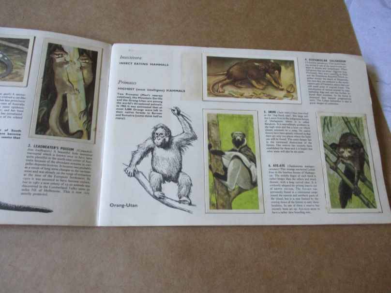 WILDLIFE IN DANGER BY PETER SCOTT - BROOKE BOND PICTURE CARDS ( BROOKE BOND TEA TRADING CARDS )