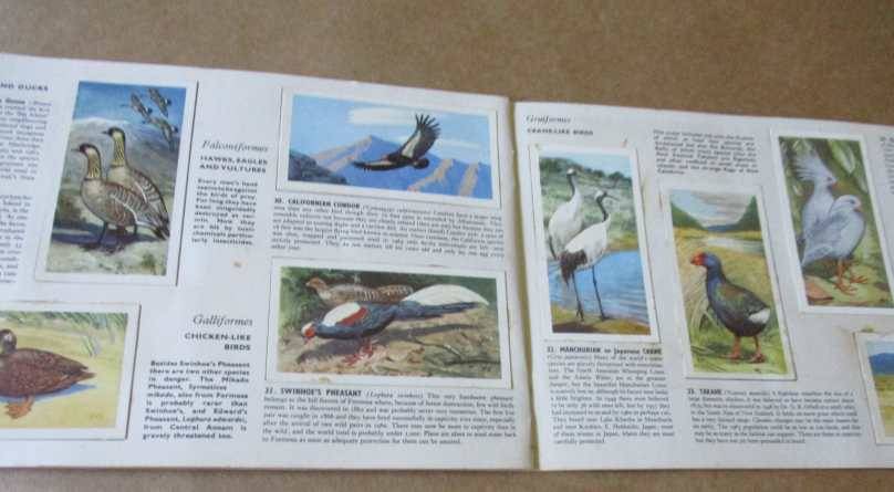 WILDLIFE IN DANGER BY PETER SCOTT - BROOKE BOND PICTURE CARDS ( BROOKE BOND TEA TRADING CARDS )
