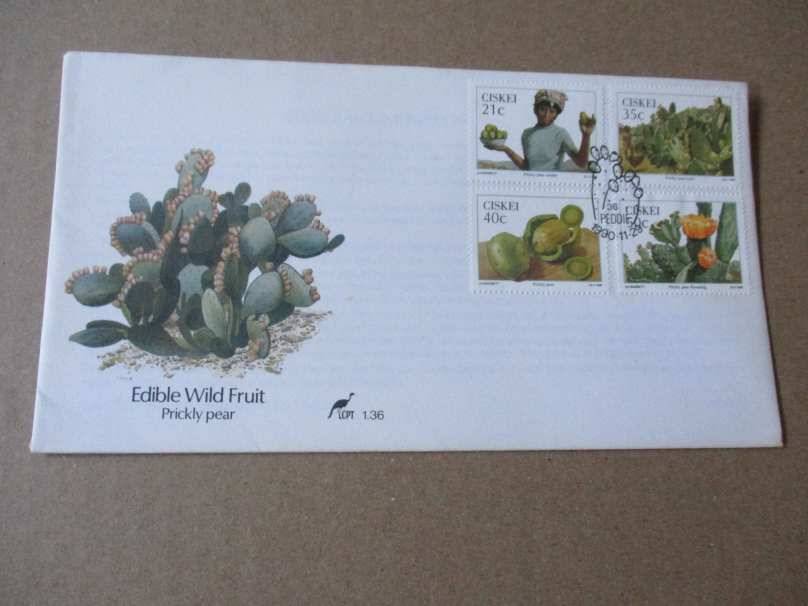 1990 CISKEI - EDIBLE WILD FRUIT FDC 1.36
