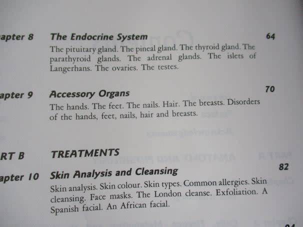 AESTHETICS FOR THE THERAPIST - THEORY & PRACTICE - ANN HAGMAN