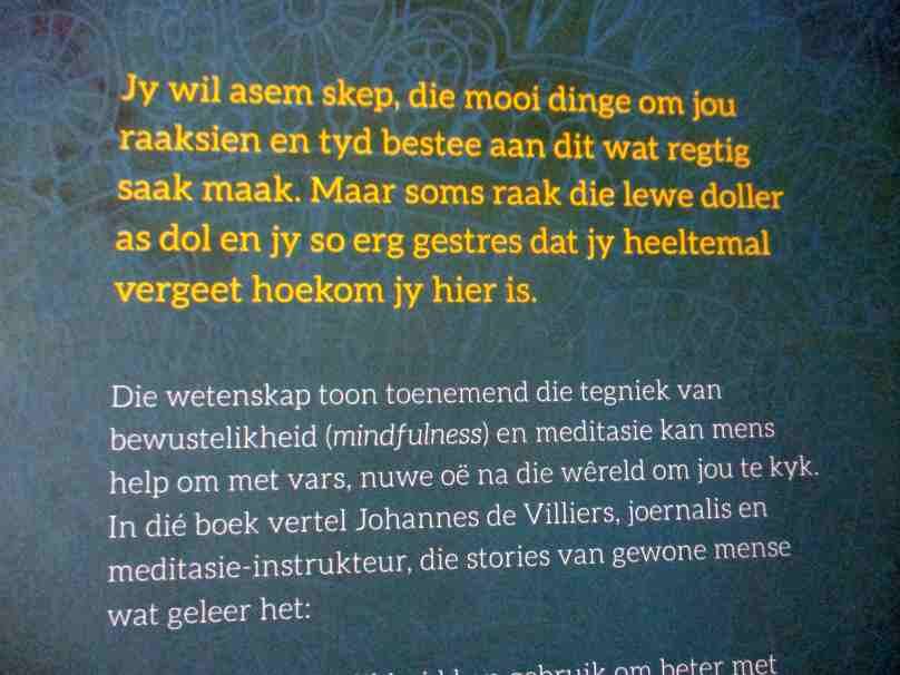 KALMTE IN DIE MALLE GEJAAG - MINDFULNESS VIR BESIGE MENSE - JOHANNES DE VILLIERS