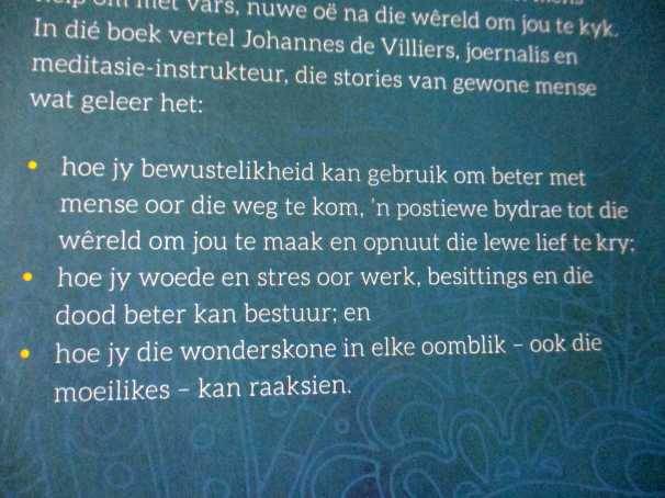 KALMTE IN DIE MALLE GEJAAG - MINDFULNESS VIR BESIGE MENSE - JOHANNES DE VILLIERS