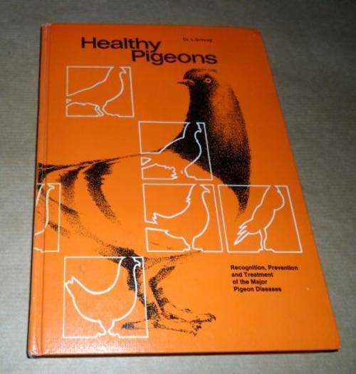 HEALTHY PIGEONS - RECOGNITION, PREVENTION AND TREATMENT OF THE MAJOR PIGEON DISEASES - DR L. SCHRAG
