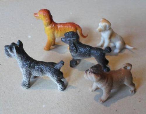 DOGS x 5