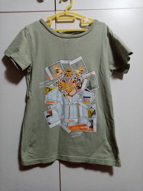 Light green t-shirt with lion print 7-8