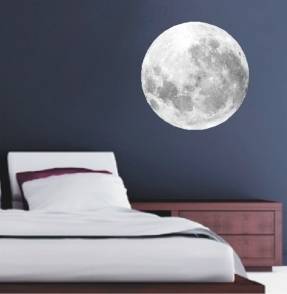 Large Lunar Moon Vinyl Decals - Wall Art Stickers