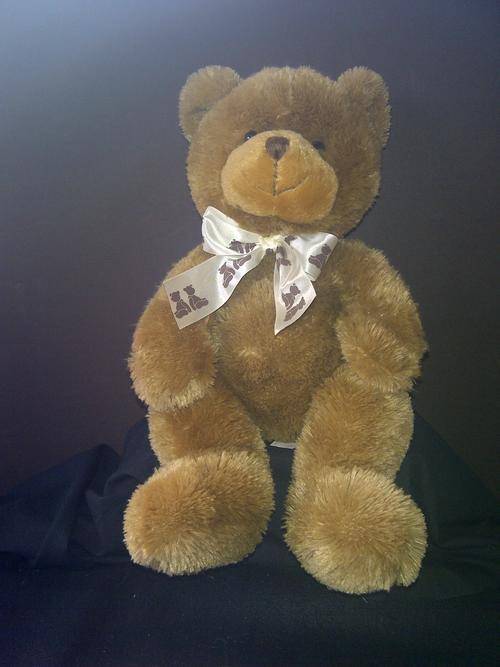 Super-soft, Cuddly Brown Bear