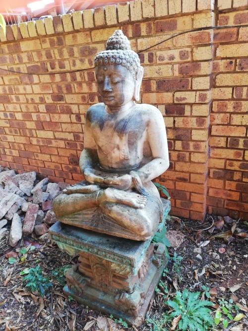 Garden Buddha statue