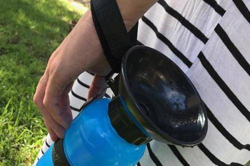 Aqua Dog - The Water Bottle For Dogs On-The-Go