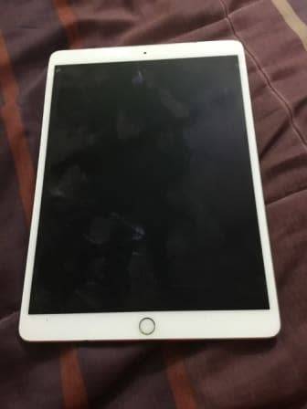 iPad Pro 2nd Generation DEAD ***Please read**