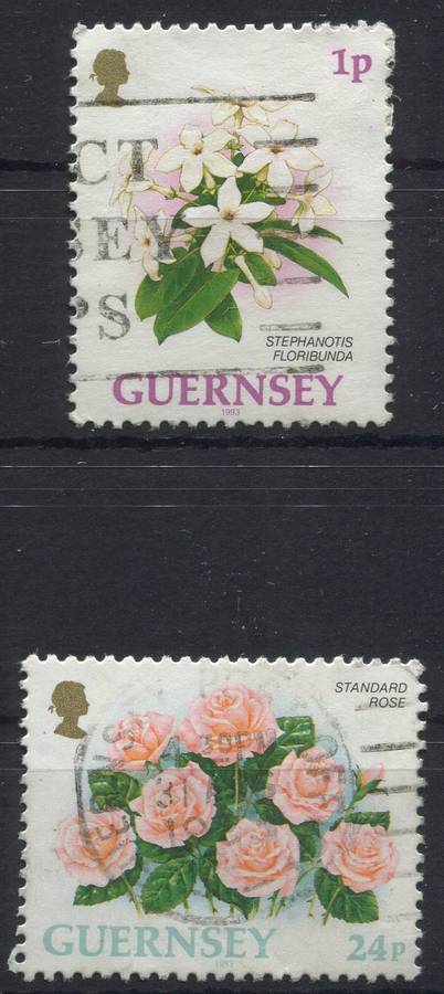 Guernsey
