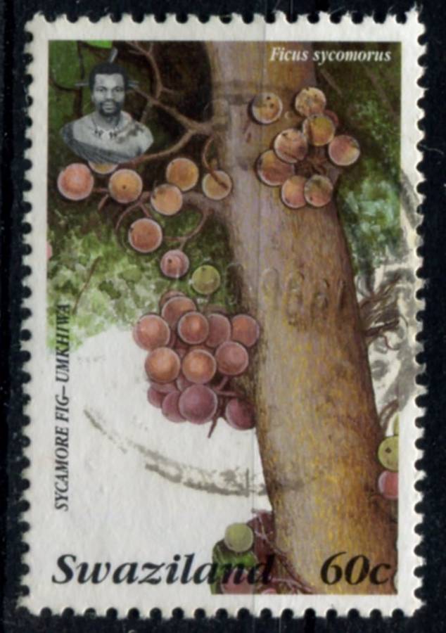 Swaziland - Used