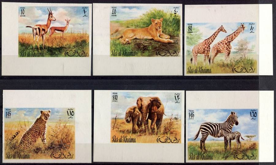 Ras Al Khaima - Animals - MNH