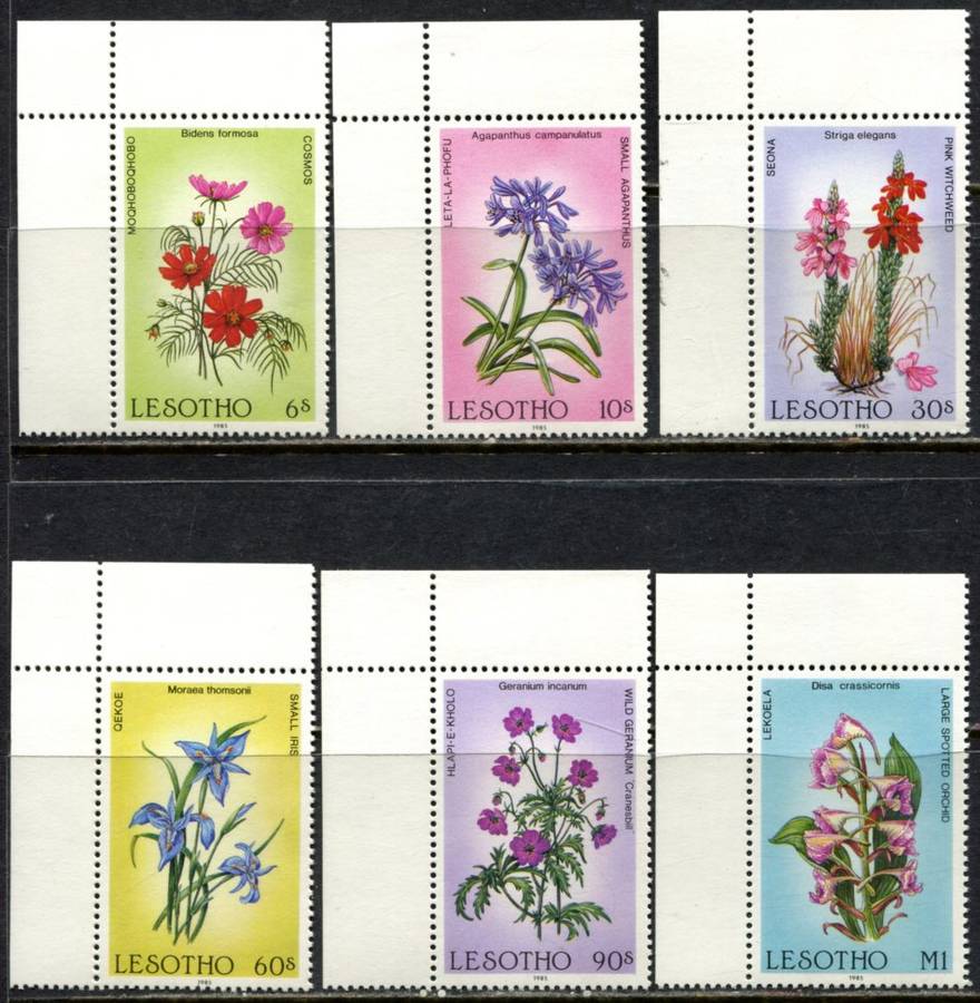 Lesotho - Flowers - 1985 - MNH