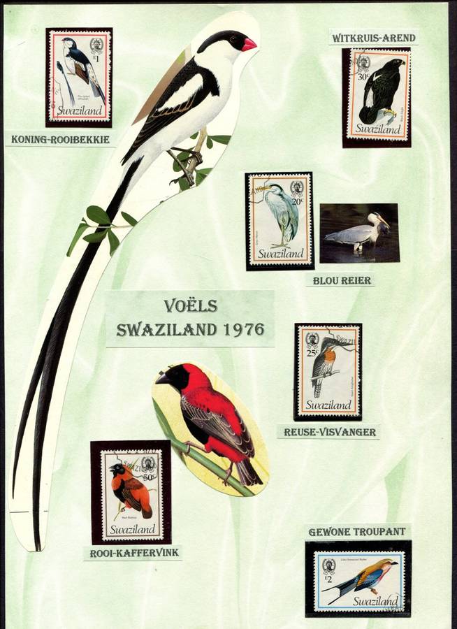 Swaziland - Birds - 15 Stamps Mounted (Hinged) on 2 Old Album Pages