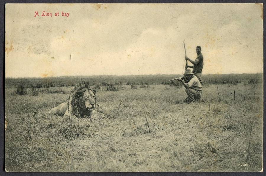 Transvaal - Post Card