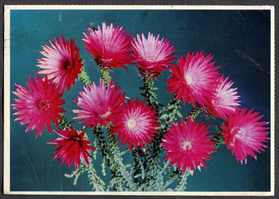 RSA - Post Card