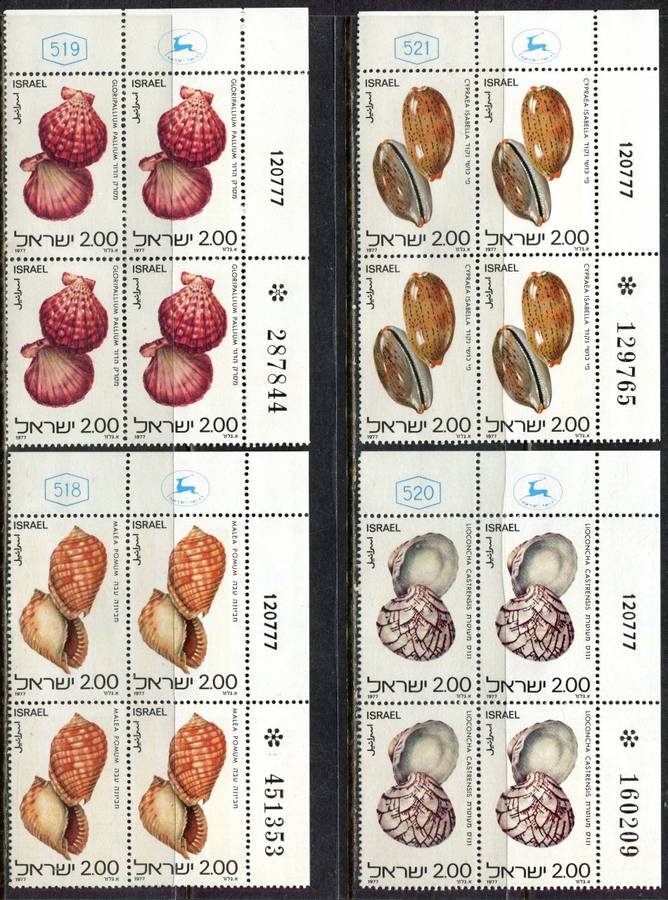 Israel - Shells - Set of 4 Blocks of 4 - 1977 - MMH