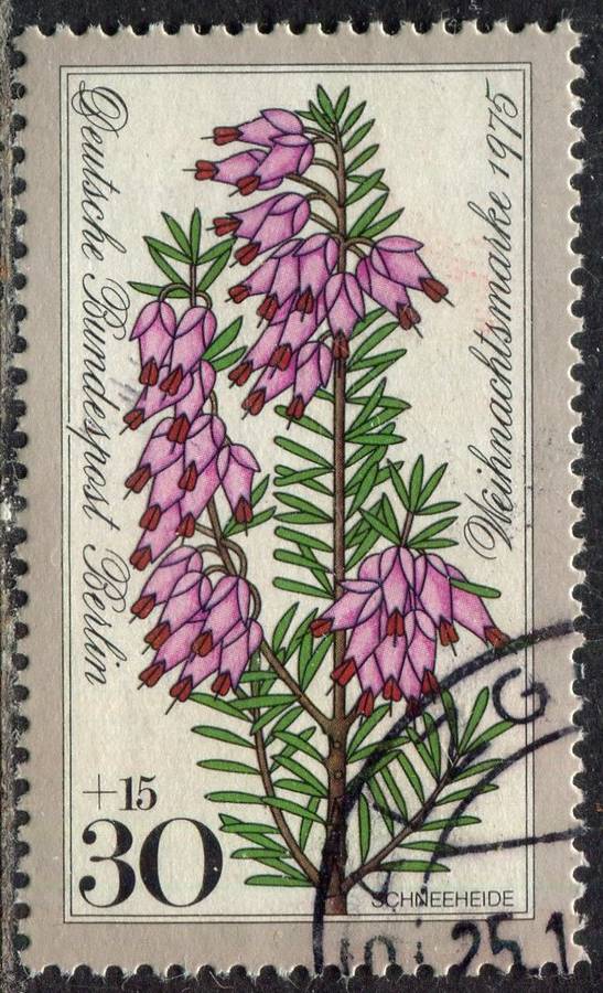 Germany/Berlin - Flowers - 1975 - Used