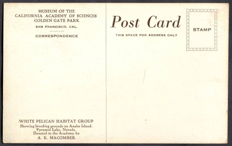 Post Card