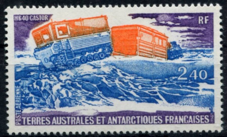 French Southern and Antarctic Territories - 1981 - MNH