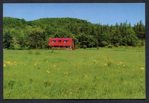 Japan - Modern Used Post Card