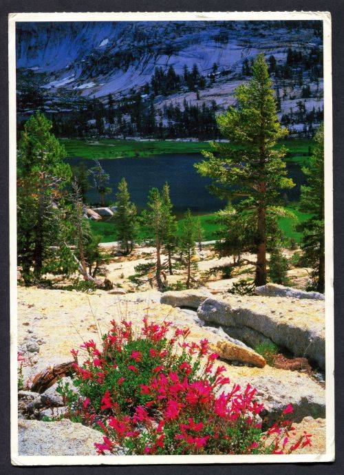 China - Modern Used Post Card