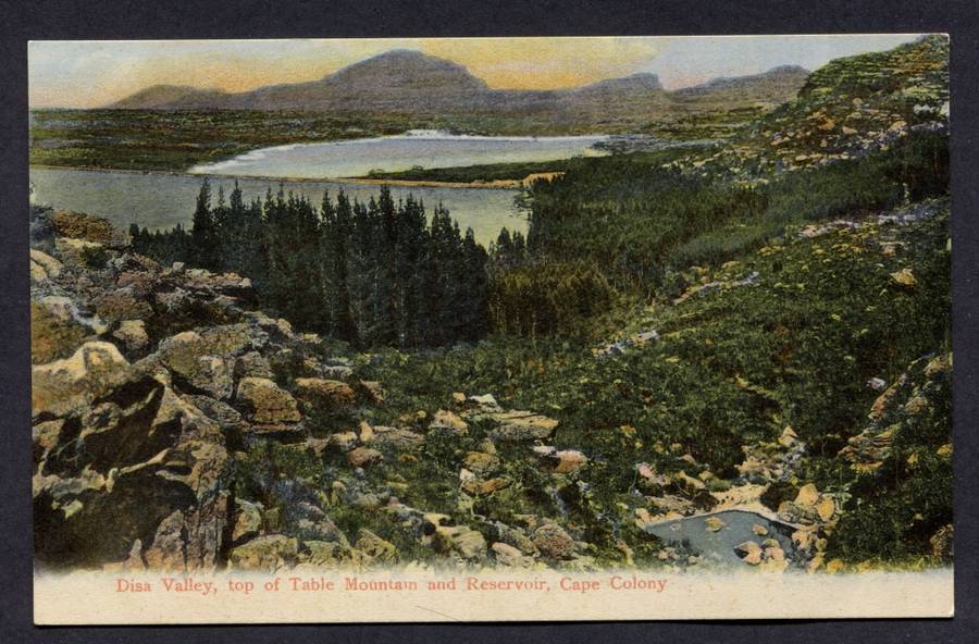 Post Card