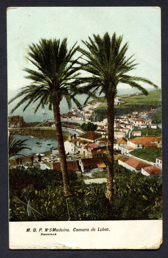 Cape of Good Hope - Post Card