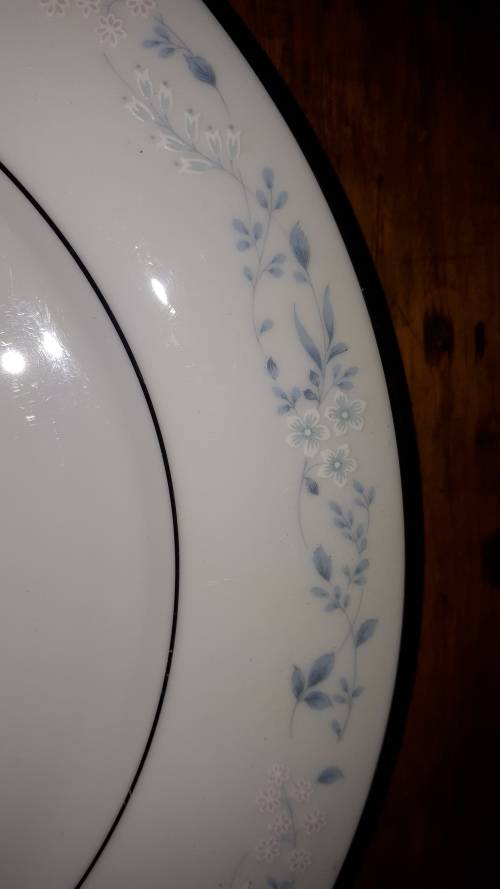 VINTAGE JAPANESE NORITAKE Fine Porcelain Dinner Plate (Carolyn Pattern 2693)