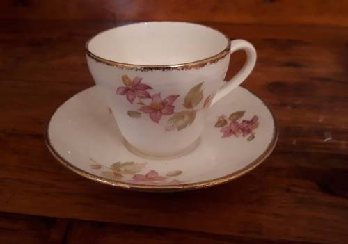 ROYAL SWAN of STAFFORDSHIRE Porcelain Coffee Pot & 4 Demitasse Coffee Cups & Saucers Duos - Vintage
