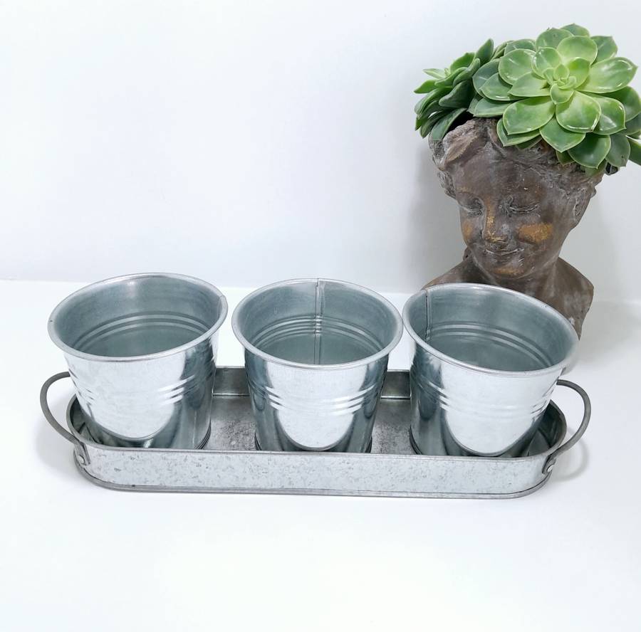 Kitchen Window Triple Aluminium Herb Planter Set On Tray