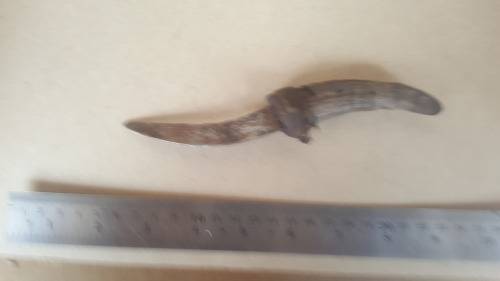 African! Impala Animal Horn Handle Knife