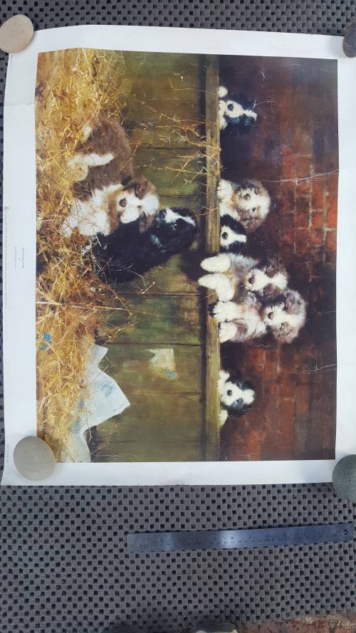A David Shepherd Print, Muffin`s Pups