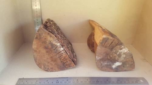 Africana! Busts - Hand Carved Natural Wooden Stumps - Live Edge - Book-Ends
