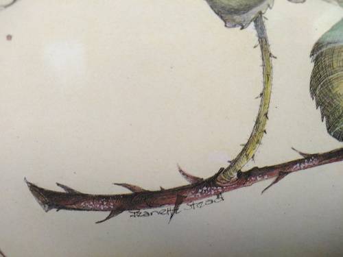 Vintage! Wild Roses - Wooden Lacquered Place Mats With Cork Backing - In Original Box.