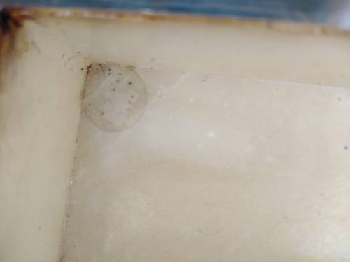 Vintage! Hand Made in Italy - Genuine Alabaster Marble - Rectangular Floral Trinket Box