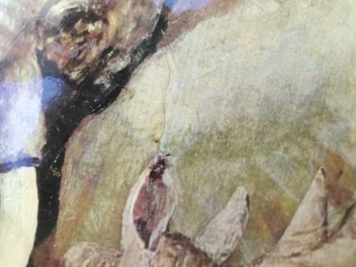 Africana! - Hand Made - Decoupage Ostrich Egg - Big Five (Signed) - With Wooden Stand