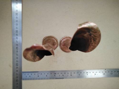 Vintage! Set Of 2 - Copper Bud Vase / Candle Holder - Calla Lily