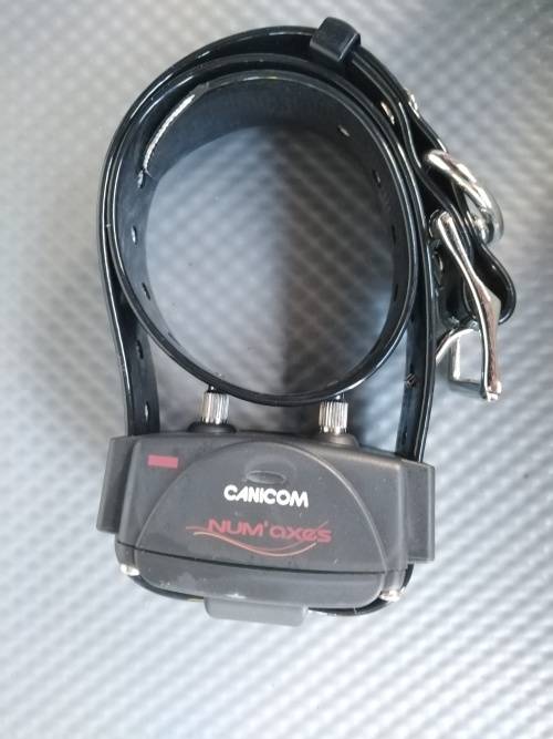 CANICOM 200 FIRST REMOTE TRAINING COLLAR