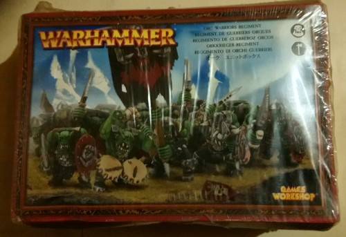 Warhammer Orc Warriors Regiment