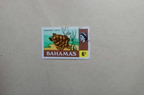 5 Cents Hawksbill Turtle Stamp Bahamas
