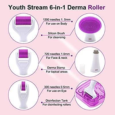 6 in 1 Derma Roller Skin Regeneration Needling Whitening Anti Aging Wrinkles Acne Scars Tighten