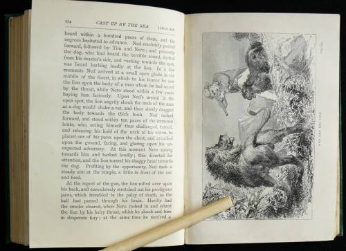 Cast Up By The Sea. Baker., Sir Samuel W. illustrations by Huard