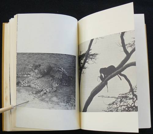 Death In The Long Grass (A Big game hunter's adventures in the Bush). Capstick, Peter Hathaway